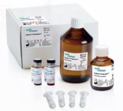 倍性分析試劑盒