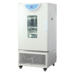 霉菌培養(yǎng)箱BPMJ